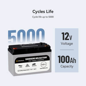 Автомобильные натриевые аккумуляторы, 12 В, 36 В, 48 В, 100 А/ч, 200 А/ч - Product Image 4