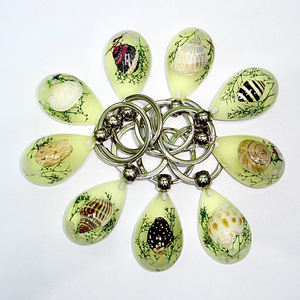 工場卸売 光る貝殻アクリルキーホルダー レジン製 かわいいキーホルダー 男の子向け - Product Image 1