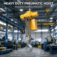 Palans pneumatiques à air comprimé haute efficacité, équipement de levage robuste, palan à chaîne pneumatique, limiteur de surcharge, ligne d'assemblage en usine
