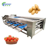 Shepody Pear Tomatensorteermachine, verbeterde efficiëntie, sorteermachine voor mango's en appels op maat, met CE-certificering
