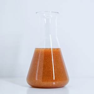 Fertilizante Líquido <span class=keywords><strong>Foliar</strong></span> Biológico Verde Soluble en Agua Fría, Algas Marinas PK 99.9% de Pureza <span class=keywords><strong>para</strong></span> <span class=keywords><strong>Fresas</strong></span>, Óptimo <span class=keywords><strong>para</strong></span> Invernaderos y Exteriores - Product Image 3