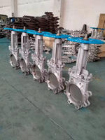 Vanne à couteau en acier inoxydable vanne à glissière 150mm SS304 Type de pétale pneumatique 8 pouces Dn500 vanne à couteau à lisier