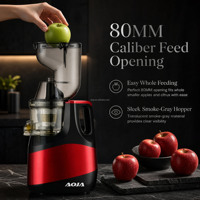 Extracteur de jus lent à mastication en gros 250W 60 tr/min Faible bruit Goulotte d'alimentation 80 mm Nettoyage facile avec brosse