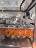 Machine de remplissage de liquides en sachets économique, mobile et entièrement automatique en acier inoxydable pour détergent liquide, savon et emballage en sachets à bec verseur