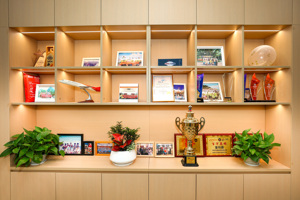 중국에서 호주까지 해상 운송과 현지 특급 배송을 결합한 DDP 솔루션으로, 문전 배송이 가능한 해상 화물 운송을 제공합니다. - Product Image 3