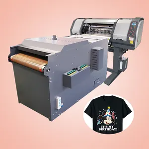 DZ Imprimante t恤t恤印刷机在衬衫上印刷60厘米Dtf打印机，适用于小企业