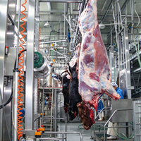 Couteaux d'abattage mobiles pour abattoir, équipement d'abattage de bovins/ovins/porcins, machine d'abattage de vaches en acier inoxydable SUS304