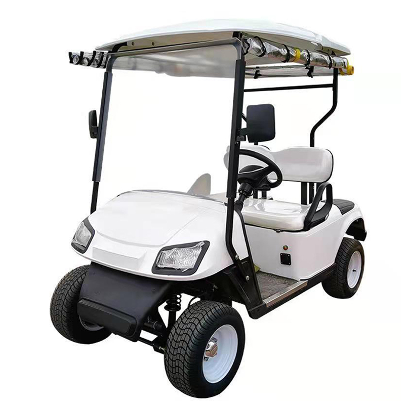 Изготовленные на заказ дешевые 2 мест, цены клубный гольфмобиль бытовой электрический автомобиль гольф/