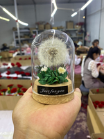 Pissenlit véritable préservé sous cloche en verre avec éclairage LED, fleur éternelle et moelleuse, base en liège naturel, cadeau pour la Saint-Valentin et la remise des diplômes