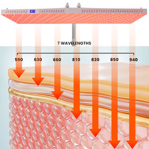 Полное тело высокой освещенности красный свет 590 630 660 810 830 850 940 нм красный ближний инфракрасный свет терапевтическая панель для здоровья тела - Product Image 6