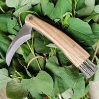 Couteau de greffage et de cueillette de champignons en bois de rose, lame en acier à haute teneur en carbone de 6 cm, portable pour le camping, vente en gros du fabricant