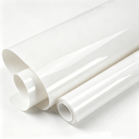 Película Protectora para Automóviles de 8 Mil, Autoregenerable, Transparente, Hidrofóbica, XP-CPKL, Garantía de 10 Años, Lujo Lux Plus, Autoregenerable, Rollo de 1.524x15M