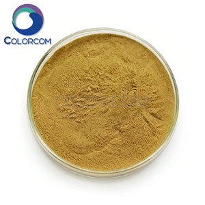 ผงสกัดโรสแมรี่เกรดอาหารสำหรับใช้ทางการแพทย์ ราคาดี - Product Image 2