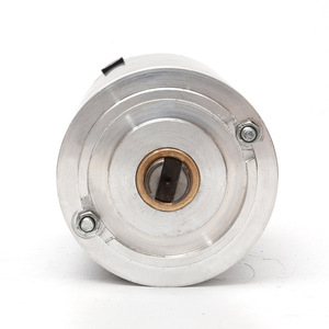 迷你执行器12v 24v 5 10 20瓦电动齿轮箱电机高扭矩dc小型蜗轮电机