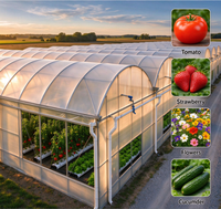 Kit complet de serre hydroponique pour fraises en seau hollandais - Meilleures ventes