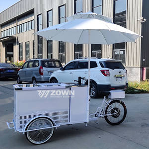Petit chariot de restauration rapide mobile au gaz avec friteuse remorque de vente de camion de nourriture de cuisine pour <span class=keywords><strong>restaurant</strong></span>/rue/chariot de collation carré en vente - Product Image 1