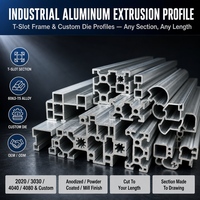 Perfil de Aluminio 6063 con Ranura en T Personalizado para Brazo Robótico y Vehículo Guiado Automatizado