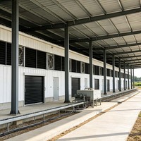 humain  Structure en acier pour élevage de bétail avec auvent extérieur, également utilisable pour poulailler en structure métallique.