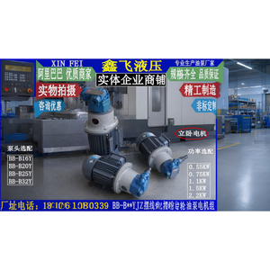 Pompe à engrenages cycloïdaux Xin Fei série BB-B avec moteur, unité verticale/horizontale en fonte pour la lubrification des machines-outils - Product Image 2