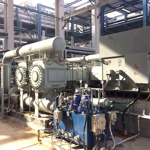 Aardgas Compressor/Cng Vullen Station/Verticale Cng Compressor