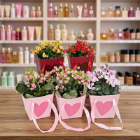 Sac de transport en papier/plastique écologique avec poignée, motif cœur, pour bouquets, centres commerciaux, Saint-Valentin