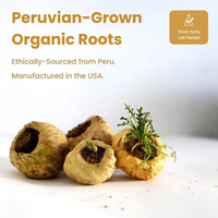 Complément alimentaire de maca certifié de haute qualité pour hommes et femmes, ginseng, ashwagandha, énergie, immunité, capsules de racine de maca pour adultes, qualité alimentaire