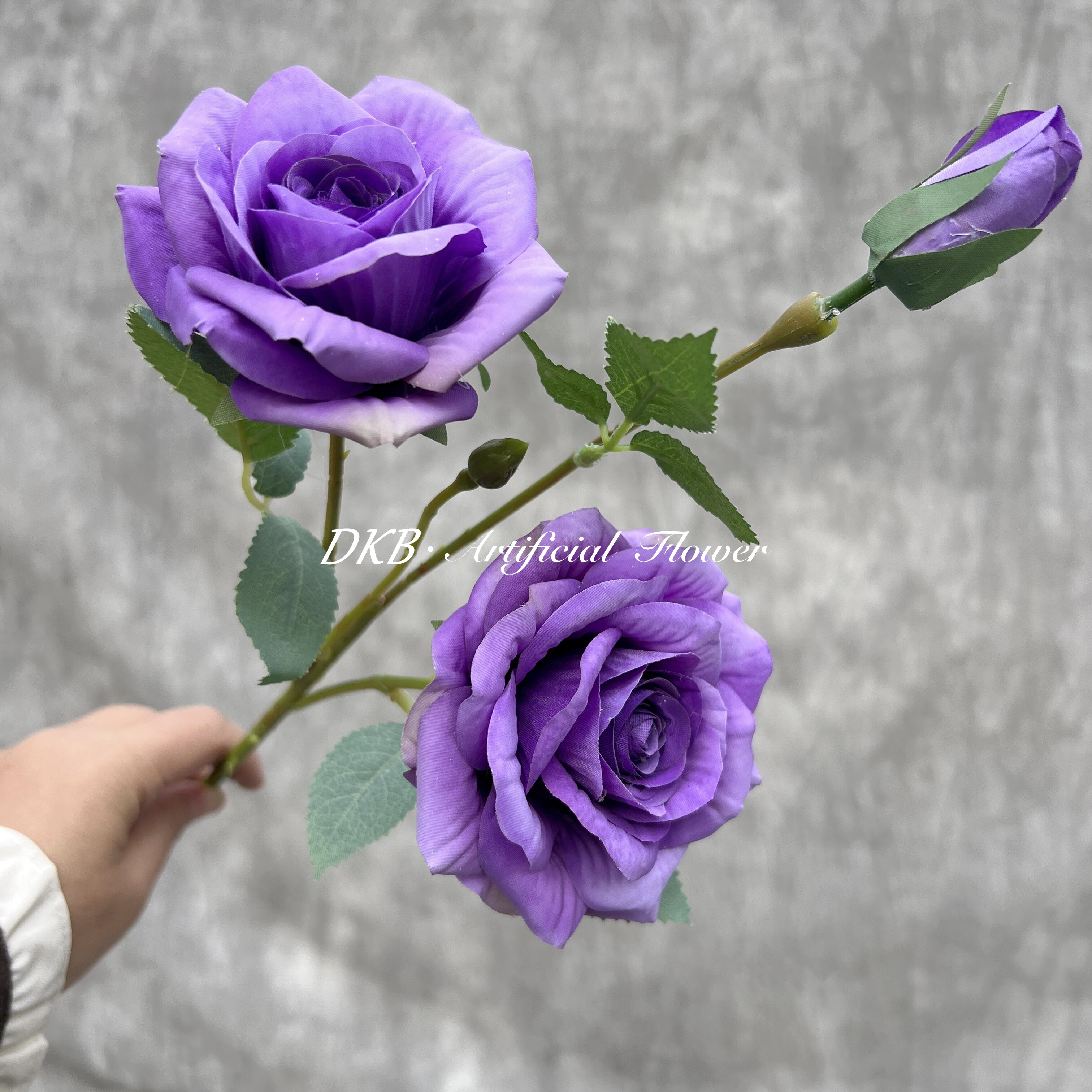 Pourpre