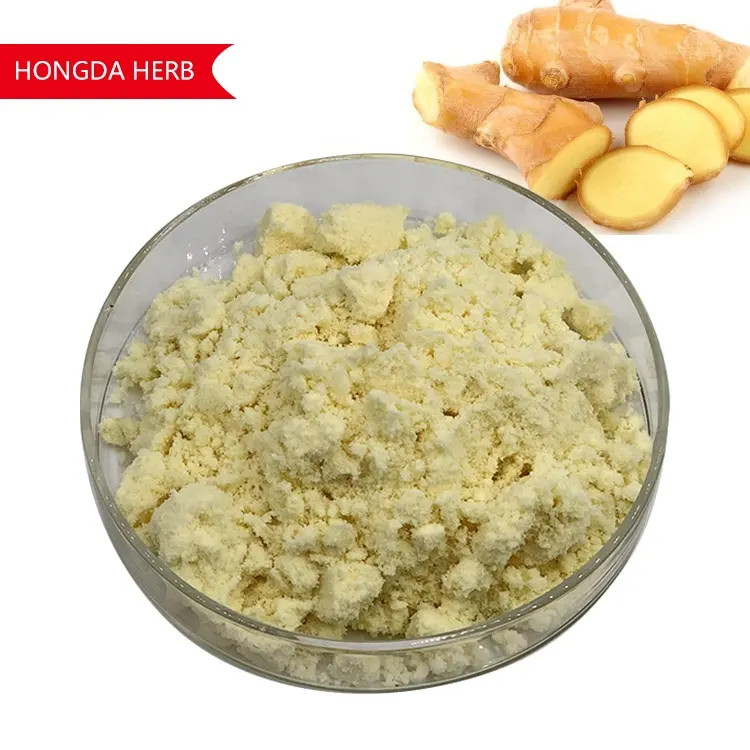 HONGDA Supply Water SolubleYellow Ginger Root Extract Powder Ginger Extract