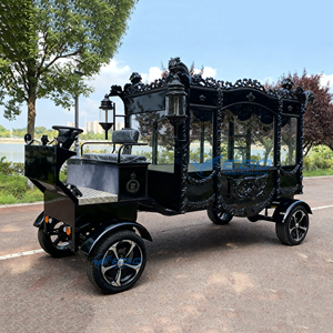 2026 Économique Personnalisable Carrosse funéraire électrique de type cercueil, Voiture funéraire antique, Carrosse funéraire électrique, Chariot funéraire électrique - Product Image 1