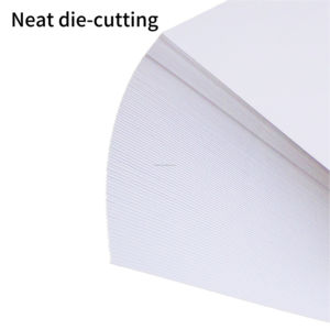 260g A4 ipeksi mürekkep püskürtmeli fotoğraf kağıdı 100% bakire hamuru hiçbir yansıma net detaylar çevre dostu mat kaplı çevre - Product Image 5