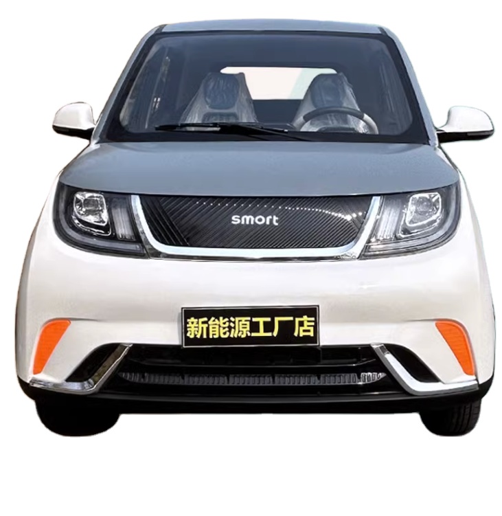 2024 china hot sale 4000W strong power and big torque electric car