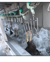 CE ISO Halal 500 Poulets Par Heure En Acier Inoxydable Installation Libre Usine Automatique Compact Poulet Abattoir Ligne