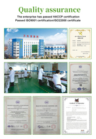 Té de Hierbas Orgánico 100% Saludable, Suplemento de Té de Champiñones y Clavo de Olor Winstown, Mezcla de Té de Marca Privada, Bolsitas de Té de Salud y Bienestar de China