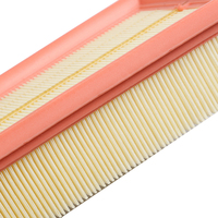 Filtre à air de bonne qualité pour voiture européenne LR011593/LR161843/AH42-9610-AA pour DISCOVERY IV 2009-