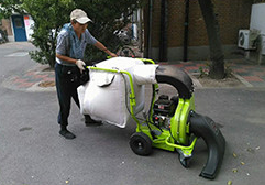 Máquina Manual de succión de hojas de carretera, barredor de basura para campo de golf, Colector de follaje neumático - Product Image 6