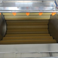 Machine industrielle CE à bas prix, 1500 kg/h, à rouleaux brosse, pour éplucher et nettoyer le gingembre, le manioc, la pomme de terre et l'oignon