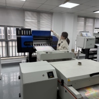 Impresora DTF en Oferta en Europa, Máquina de Impresión DTF Todo en Uno para Tejidos Textiles
