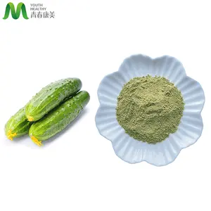 Pure Natural Dried Cucumber Powder