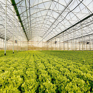 Kleine Grote Maat Enkele Overspanning Tunnel Kas Dubbellaags Pe Stalen Hoes Voor Tomatengroenteplanten Vierkante Film Kas - Product Image 5