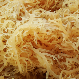 NOUVELLES SAISONNES MOUSSE DE MER/MOUSSE IRLANDAISE OR NATUREL DU VIETNAM AVEC MOQ BAS/ Mme Lucinda - Product Image 1