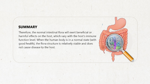 シェンキ有機健康茶固形飲料ボックスは、腸内減量を促進しますボディシェイピングは血糖値を下げ、便秘を和らげます - Product Image 6