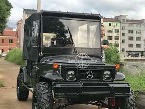 Nuevo Vehículo Todoterreno Eléctrico ATV UTV 4x2 4x4 de 3000W 4000W 5000W, 2/4 Plazas, para Adultos, Uso Agrícola, Precio Económico - Product Image 4