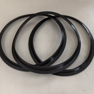 China Manufacturer Hydraulic Scraper Seal Ring J Type NBR FKM Oil Resistant Industrial Wiper Piston Seal - Product Image 3