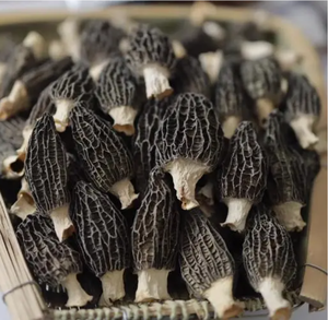 Di alta qualità Morchella Esculenta tartufo coltivato selvatico fonte Shiitake fungo confezionato in sacchetto - Product Image 3