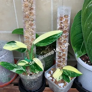 Plastic Moss Pole Indoor Plant Extension Poles for Climbing Plants support pole