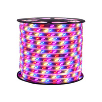Kit complet de bande lumineuse flexible 5M SMD 5050 RGB LED 300LED 60LED/M avec télécommande IR 44 touches