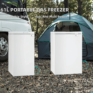 61L Portable <strong>Silver</strong> Wire <strong>Freezer</strong> 150W Folding Door Single LPG Gas Free with NH3 150 CN Parts for Household and Hotel Use - Product Image 2