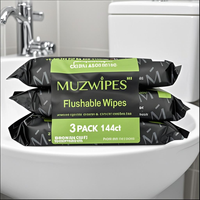48 Lingettes Humides Antibactériennes Jetables pour l'Hygiène Personnelle Domestique, les Règles et l'Utilisation en Toilette