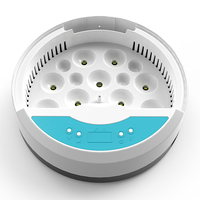 Taux d'éclosion élevé 9 Mini taille incubateur de routeur automatique oeuf dans la maison