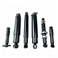 Amortisseur arrière de suspension d'essieu de camion Rycom 01162016 5010383684 5010488467 V1175 pour camion Renault Mascott